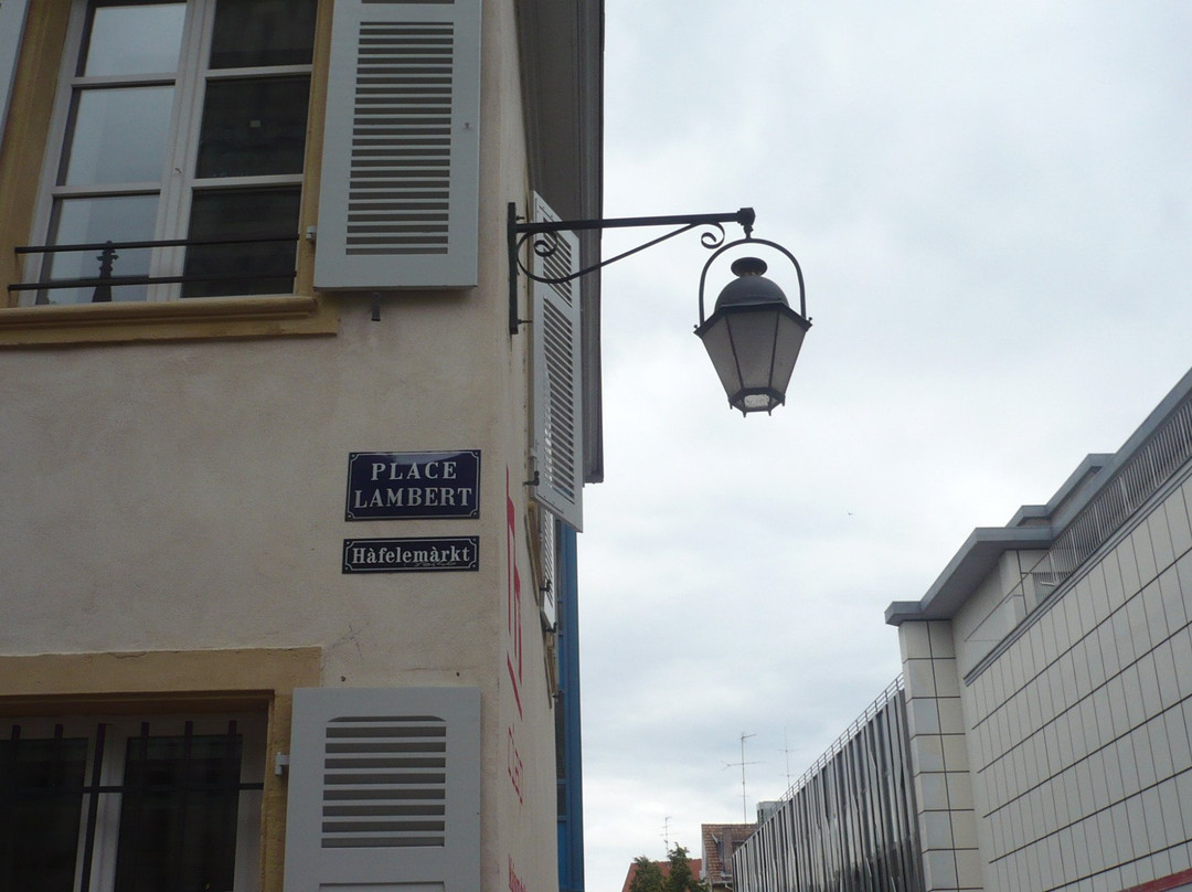 Maison du Patrimoine Edouard Boeglin – Centre d’Interpretation de l’Architecture et du Patrimoine-米卢斯必去景点