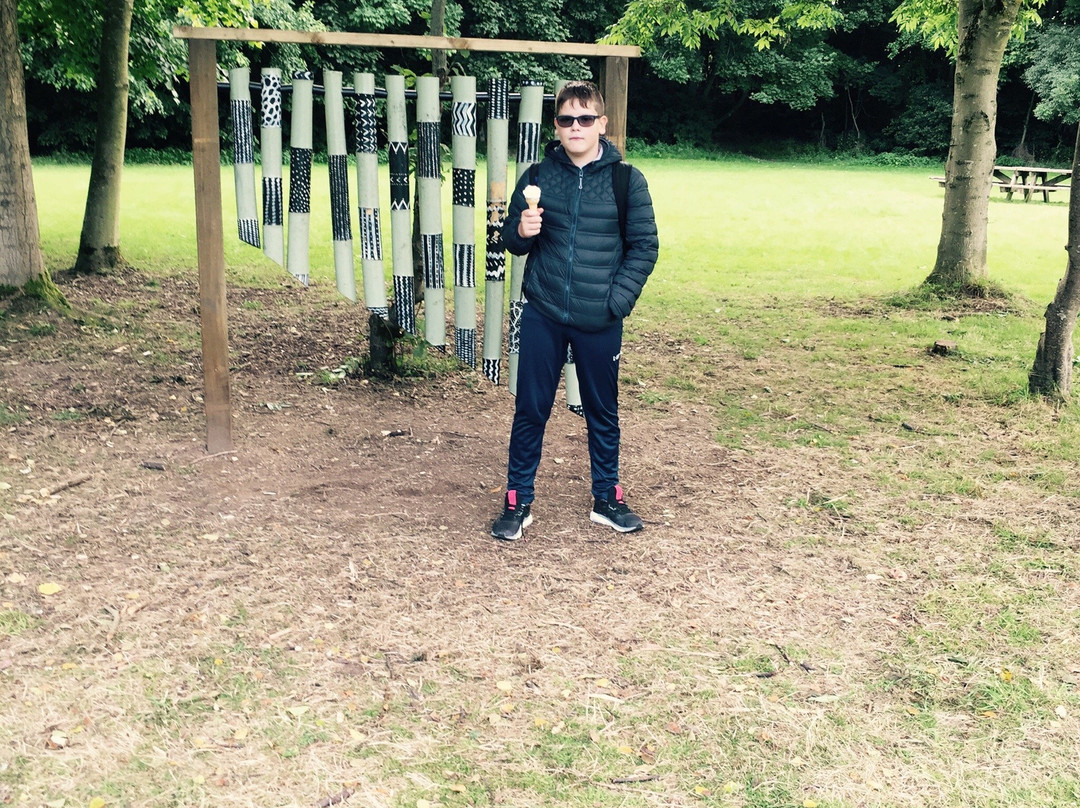 Plessey Woods Art Trail-Bedlington必去景点