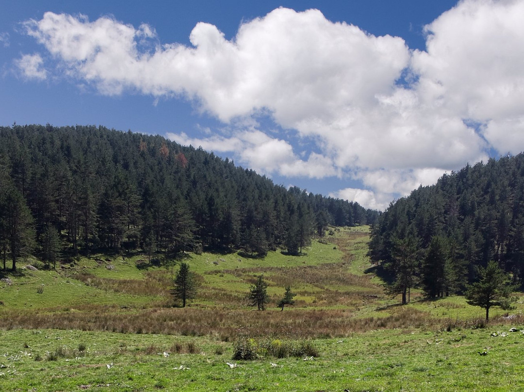 Lepidas Forest-Paranesti必去景点