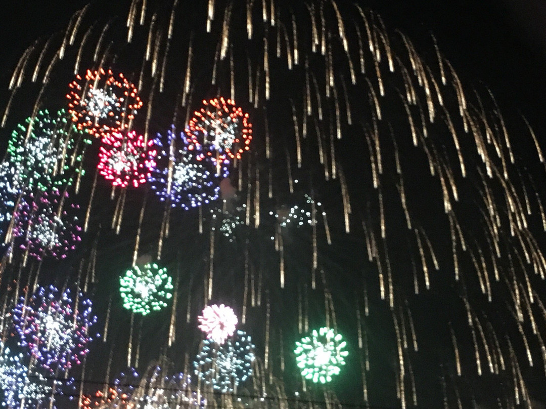 Teganuma Fireworks-柏市必去景点