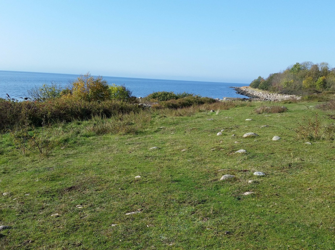 Magnarps Strandmark Naturreservat-Vejbystrand必去景点