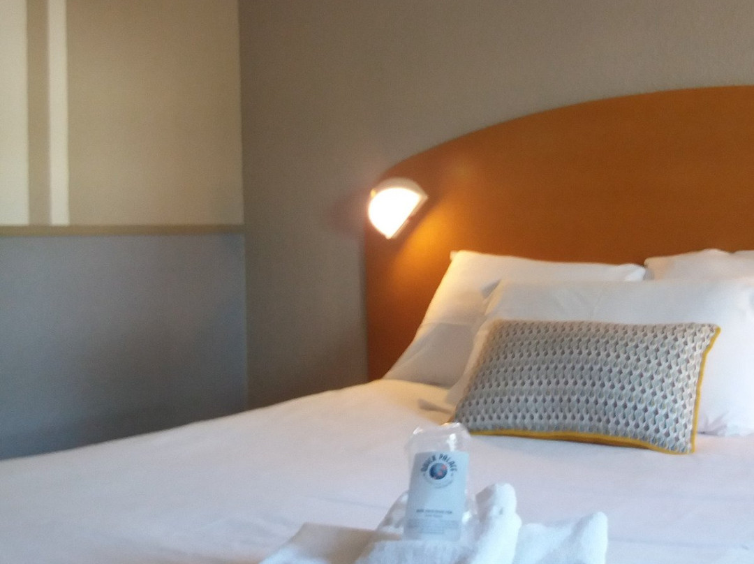 Hotel Quick Palace Lyon主图
