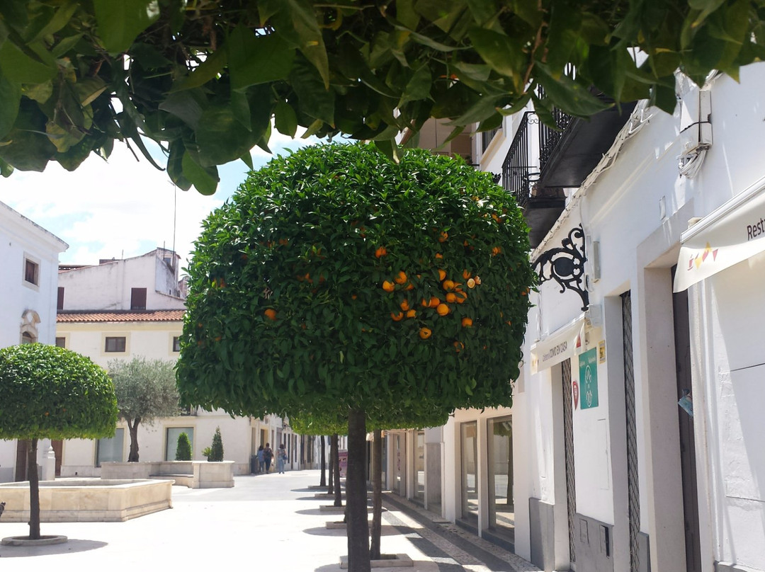 Plaza de la Constituicion景点图片