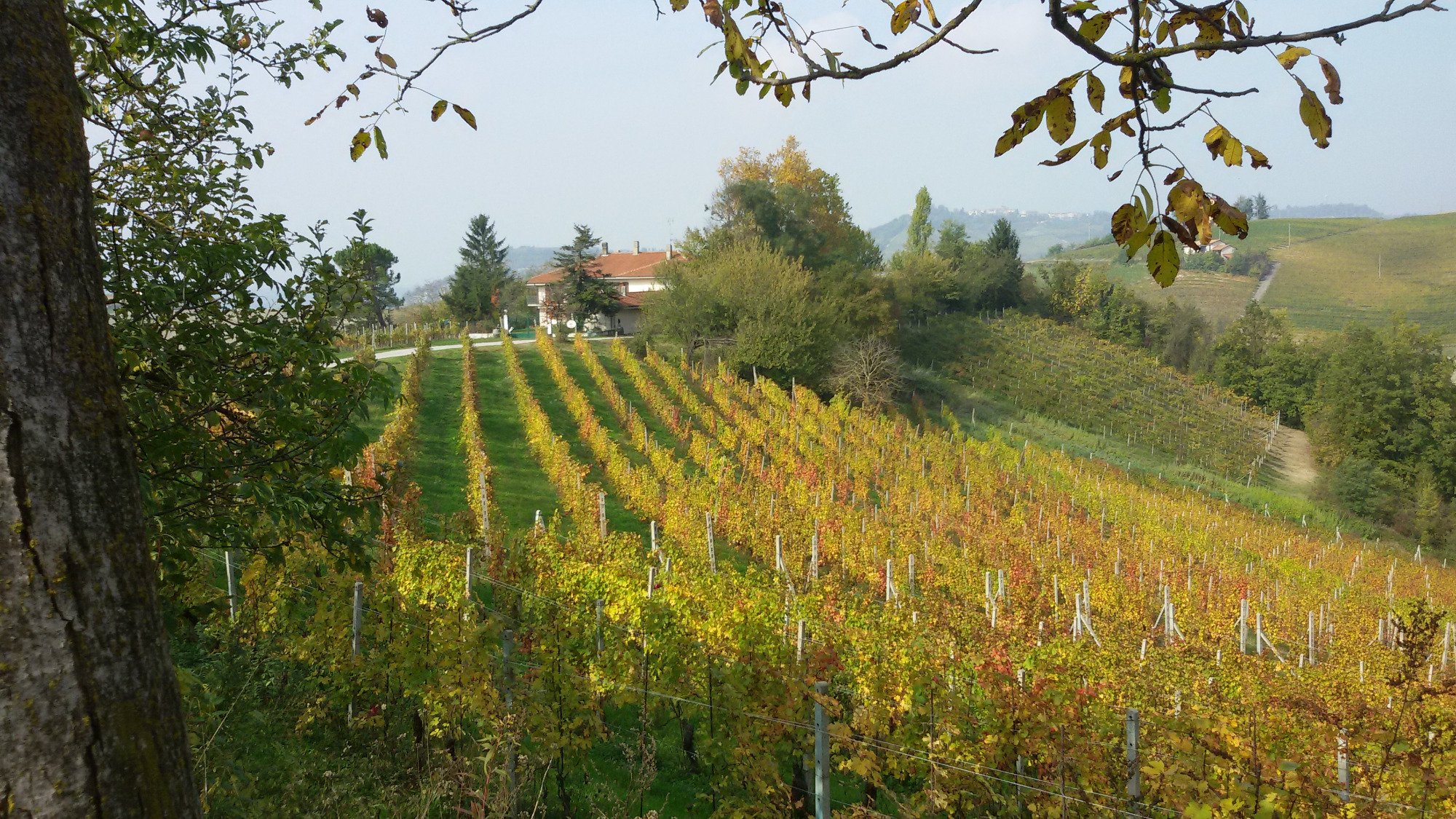 Cascina Torello-浴室