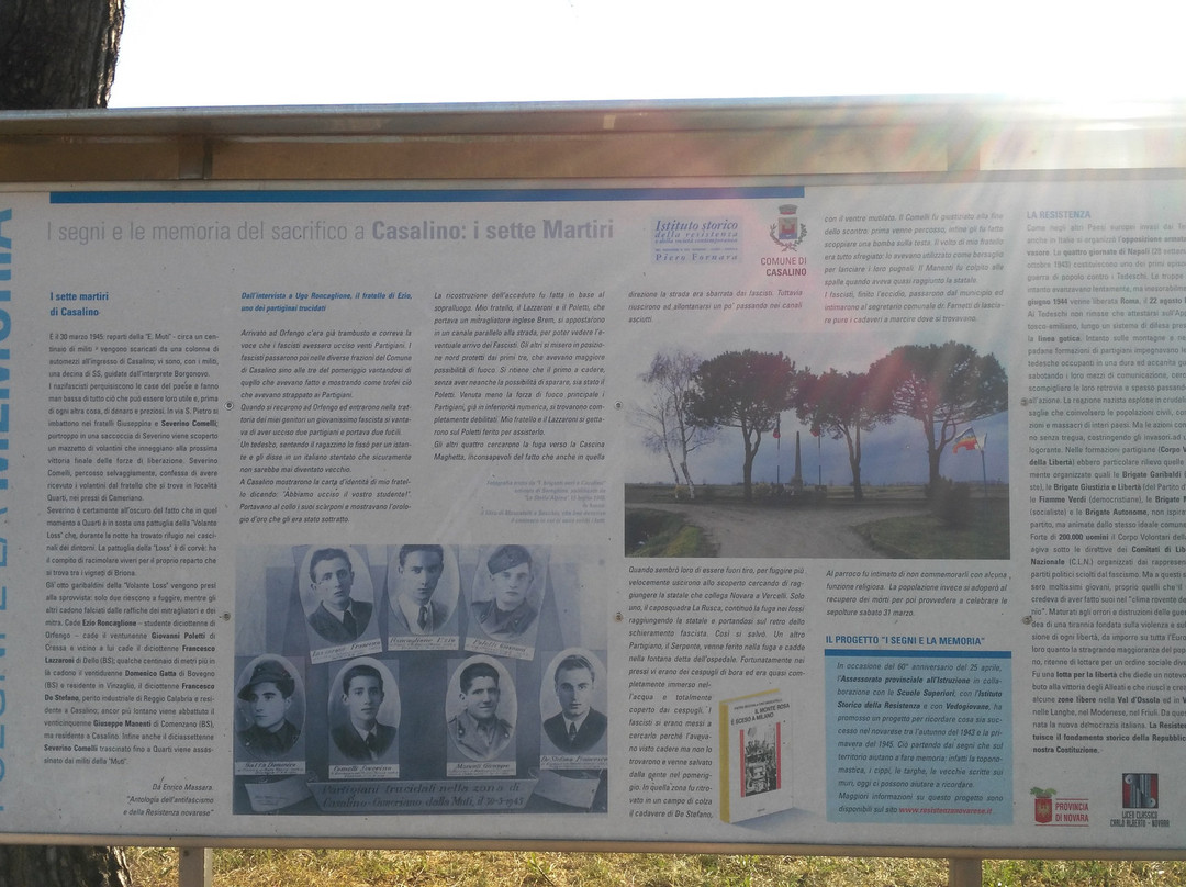 Monument to the Resistance and The 7 Martyrs of Casalino景点图片