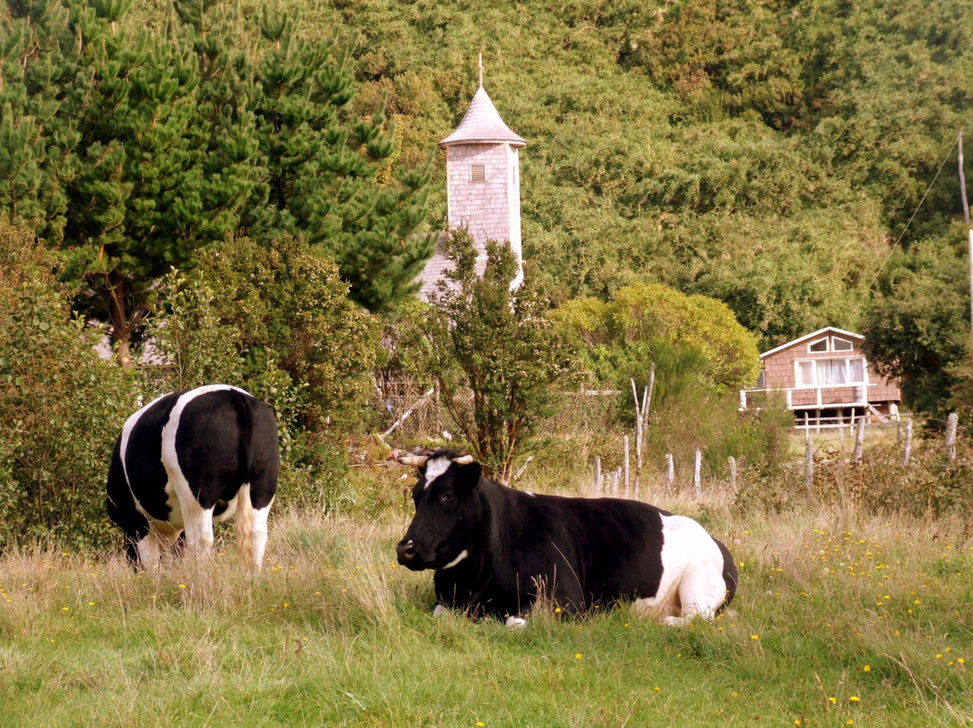 Santuario de Aves de Caulin-奇洛埃岛必去景点