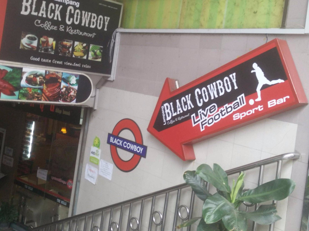 Black Cowboy