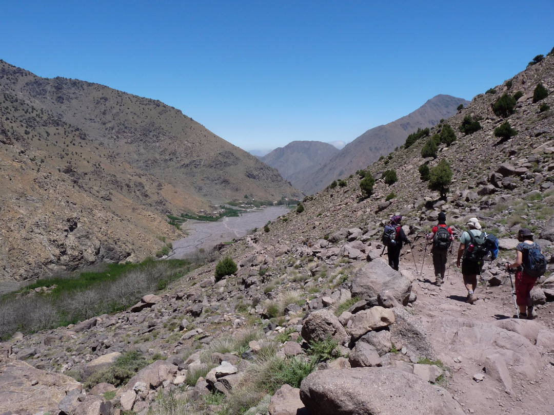 Free Ride Bike Travel