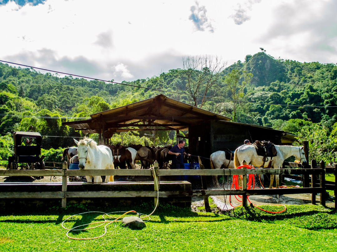 From Penedo Adventure - Mini Fazendinha Para Crianças-Penedo必去景点