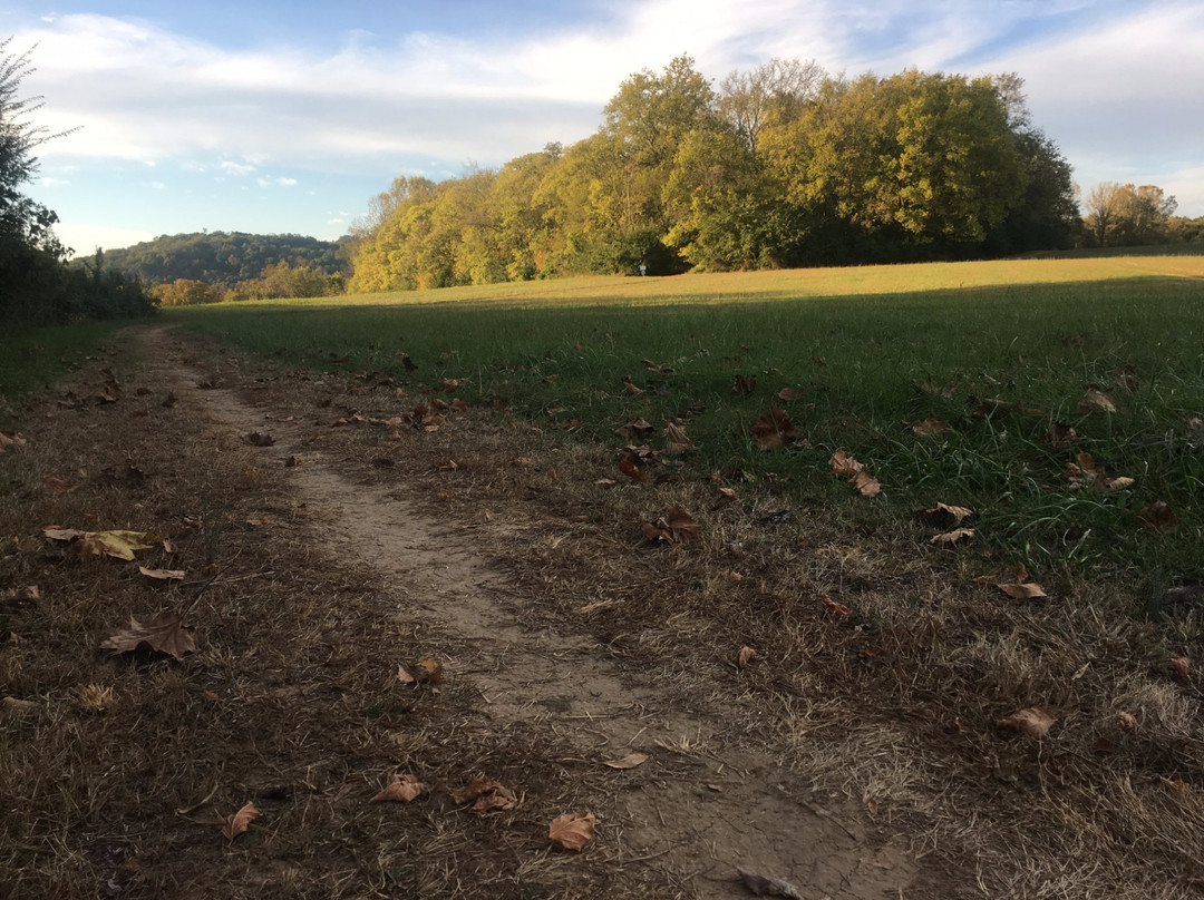 Chickasaw Trace County Park-哥伦比亚必去景点