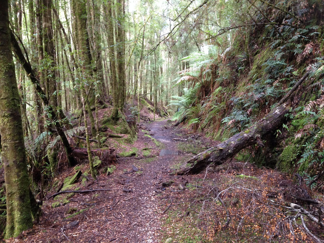 Kelly Basin-皇后镇必去景点