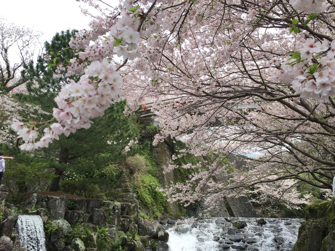 Tachibana Park-云仙市必去景点