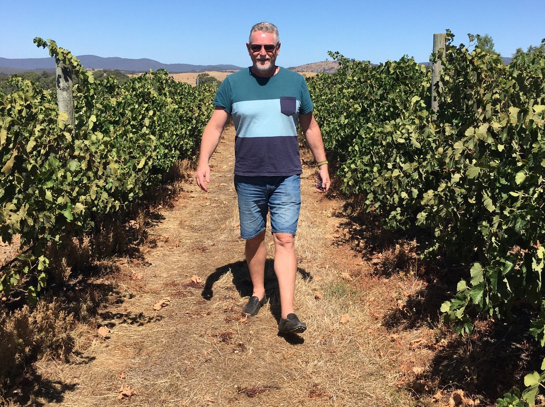 Taltarni Vineyards-Moonambel必去景点