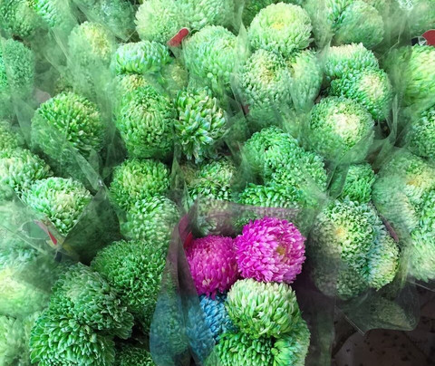 岭南花卉市场-广州市必去景点