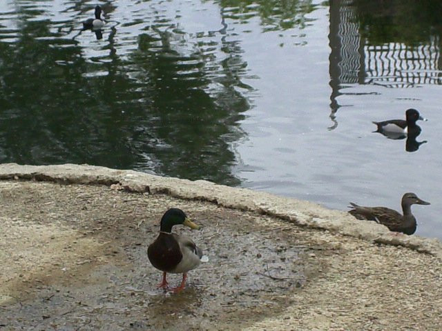 Aliante Nature Discovery Park-北拉斯维加斯必去景点