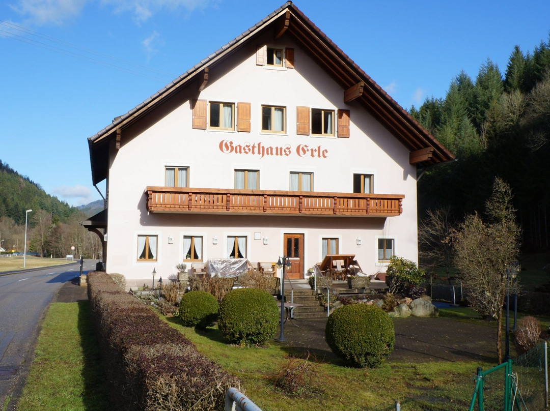 Gasthaus Zur Erle主图