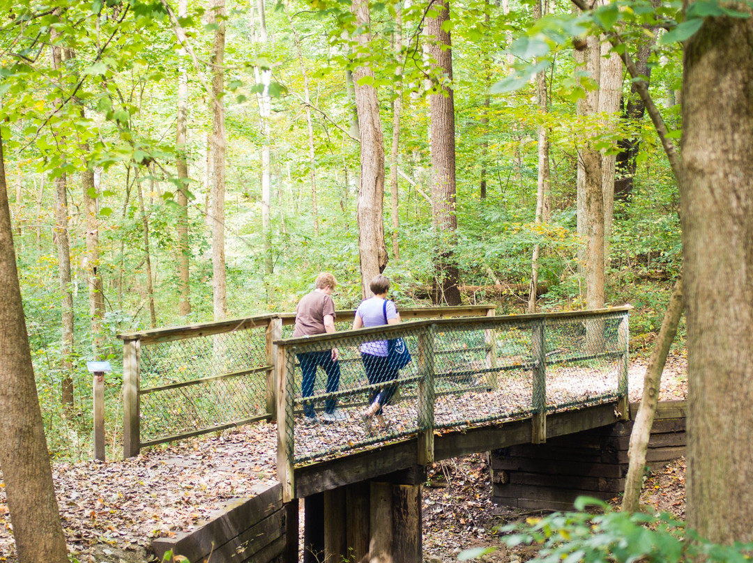 Hayes Arboretum-里士满必去景点