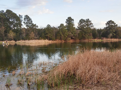 Lake Bastrop-巴斯特罗普必去景点