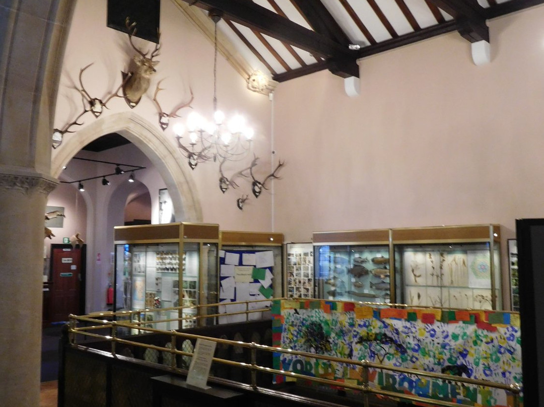 Eton College Natural History Museum-Eton必去景点