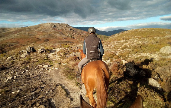 Keen Tours-波尔图必去景点
