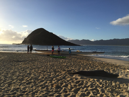 Hawaiian Paddle Sports - Kailua-科纳必去景点
