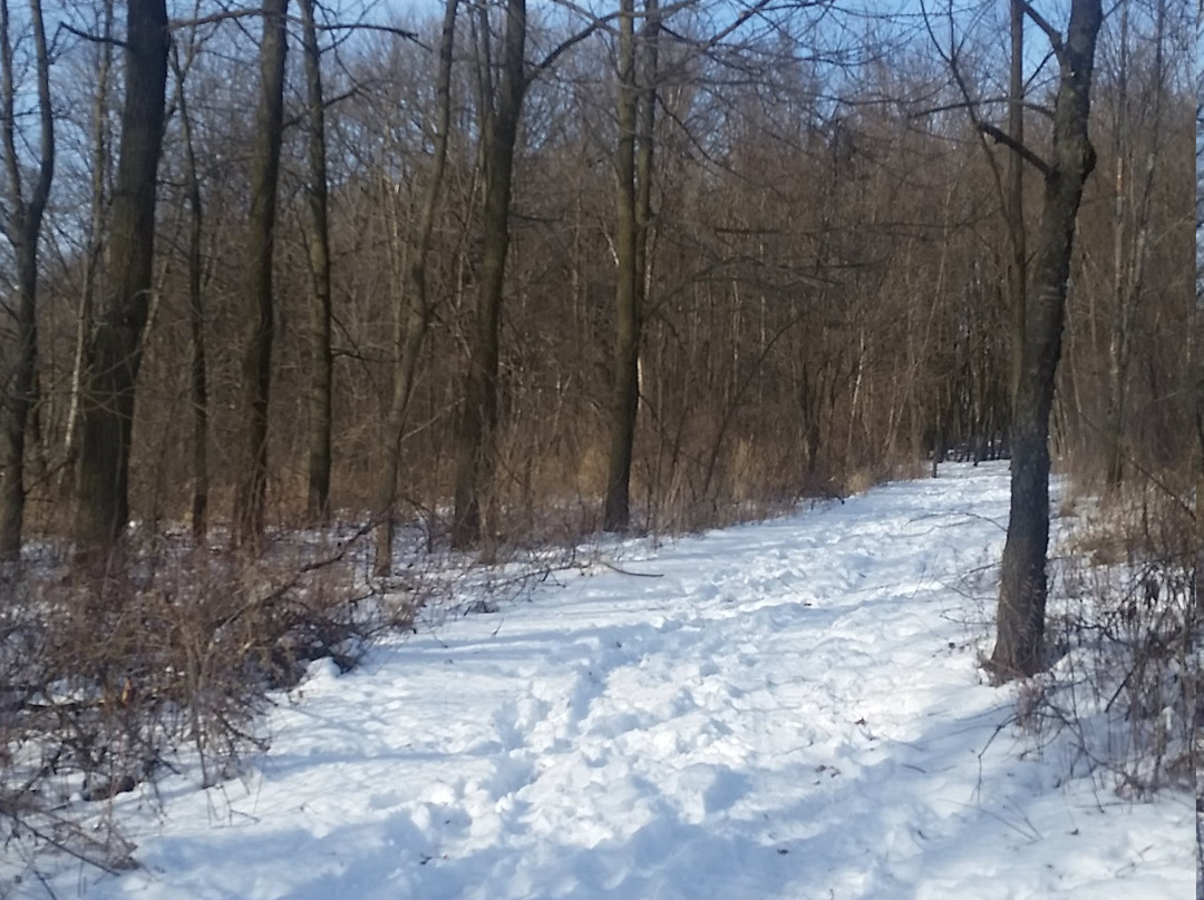 Rice Lake State Park-Owatonna必去景点