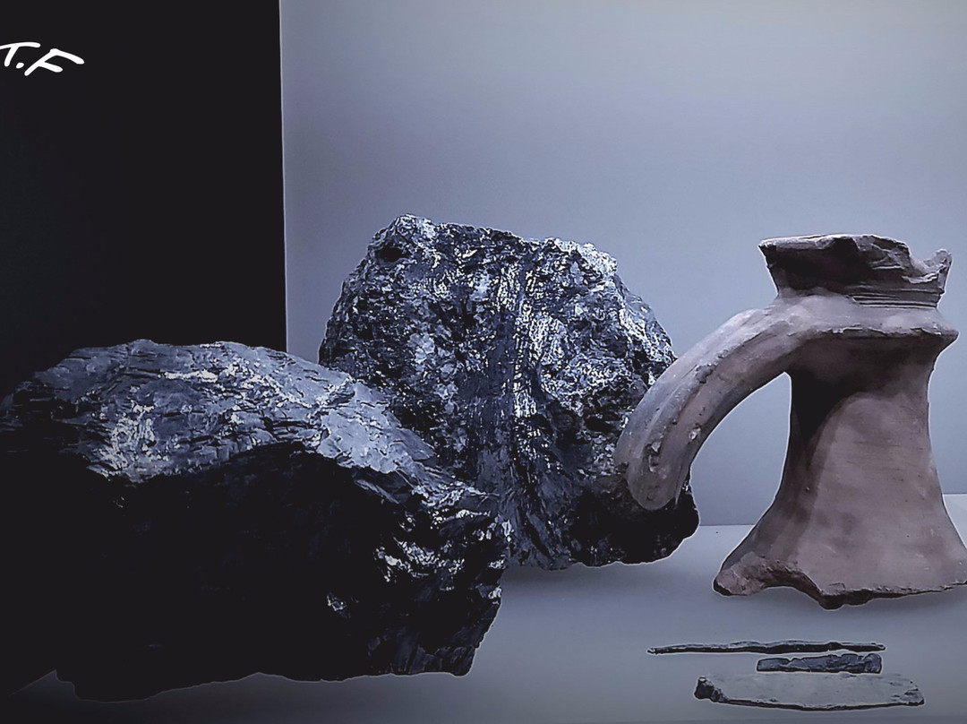 Oiasso Roman Museum景点图片