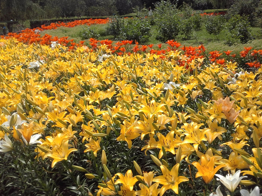 哈尔滨森林公园-哈尔滨市必去景点