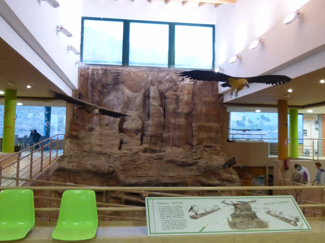 Centro de Interpretacion de Aves Arcaz景点图片