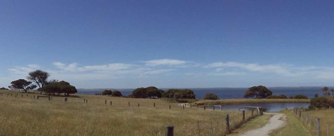 Phillip Island Nature Parks - Churchill Island景点图片