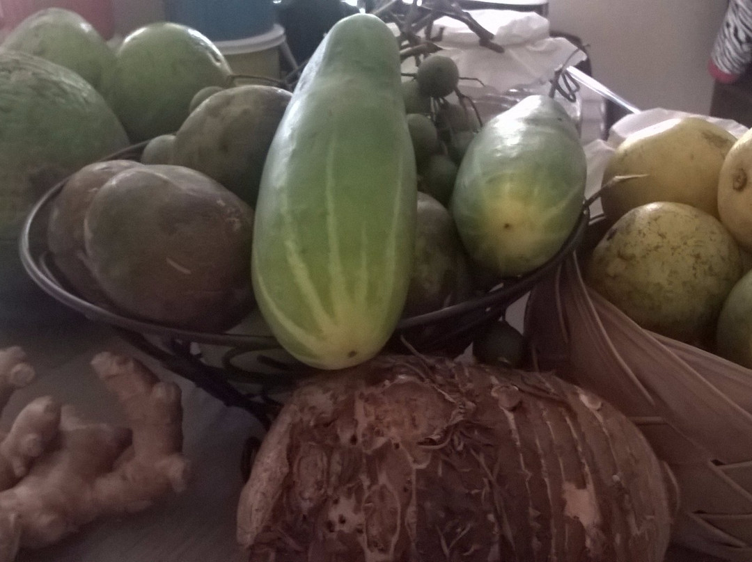 Feria Agricola De Luquillo-Luquillo必去景点