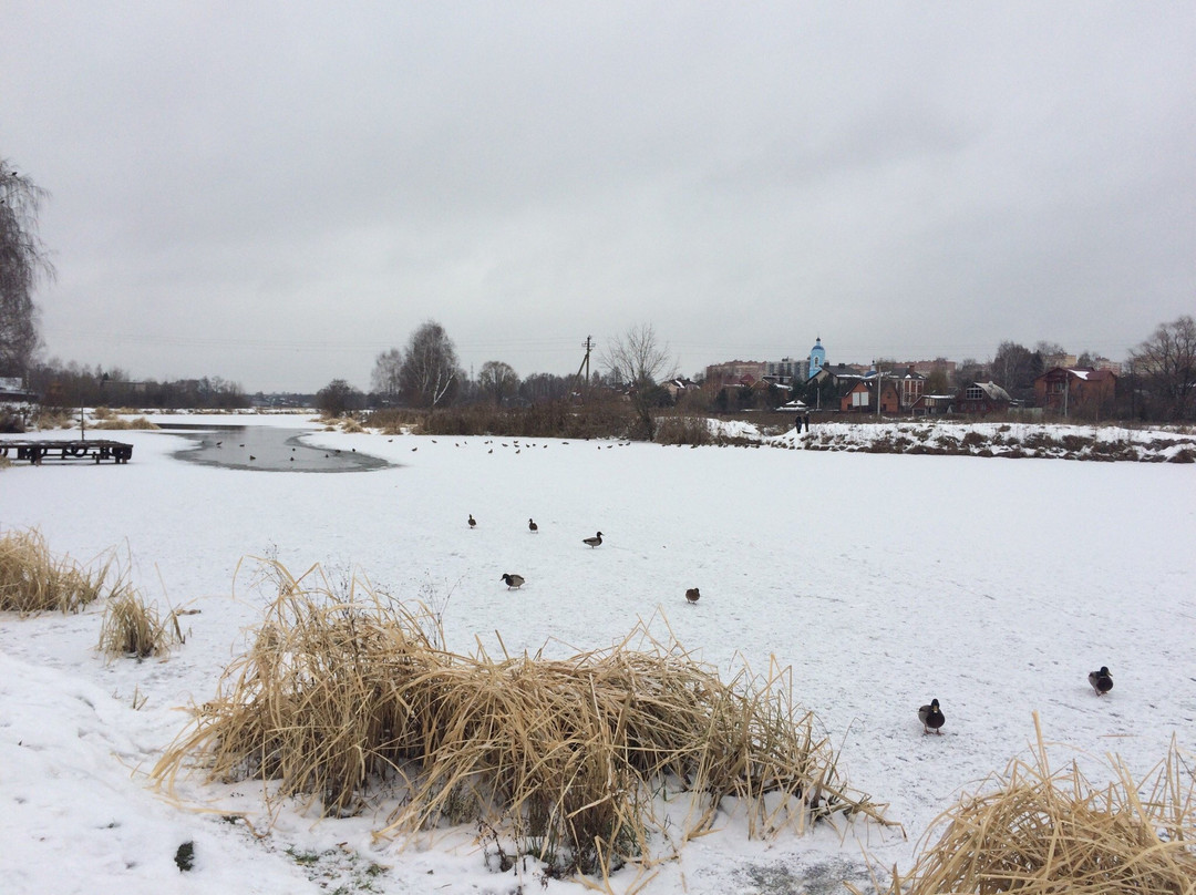 Shhyolkovo City Park-Shchyolkovo必去景点
