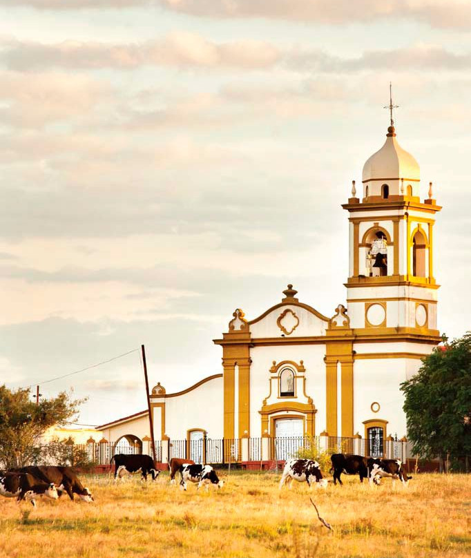 Ruta Del Vino Carmelo-Carmelo必去景点