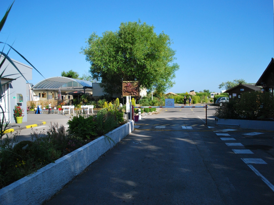 Camping Vagues Océanes Licorne
