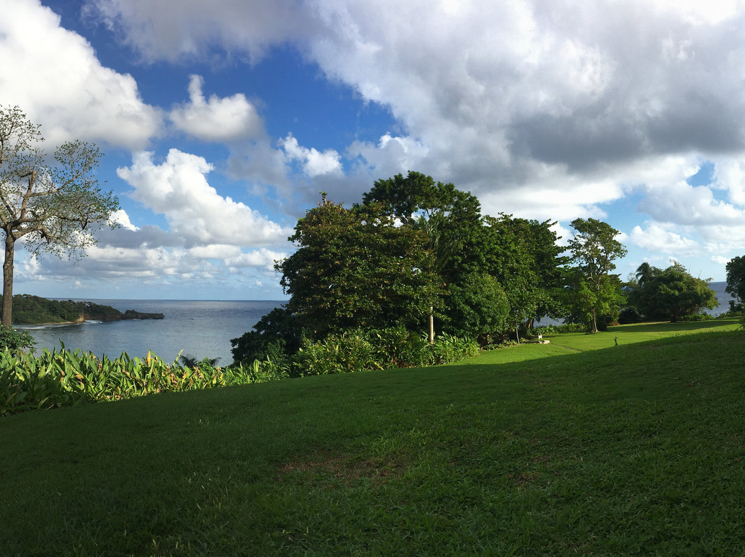 Goblin Hill Villas at San San主图