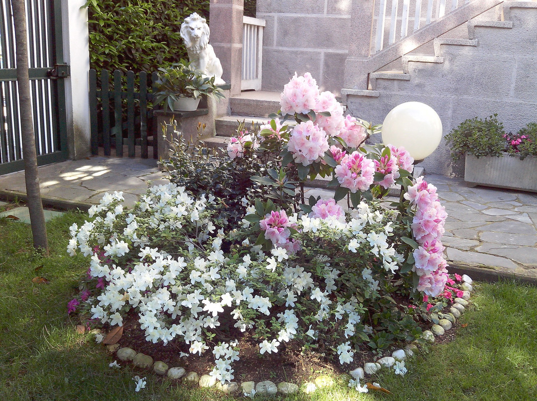 B&B Le Magnolie主图