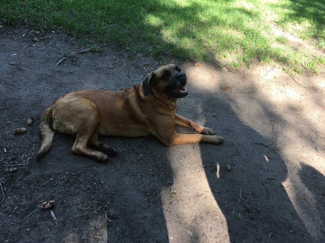 Glen Eden Resort主图