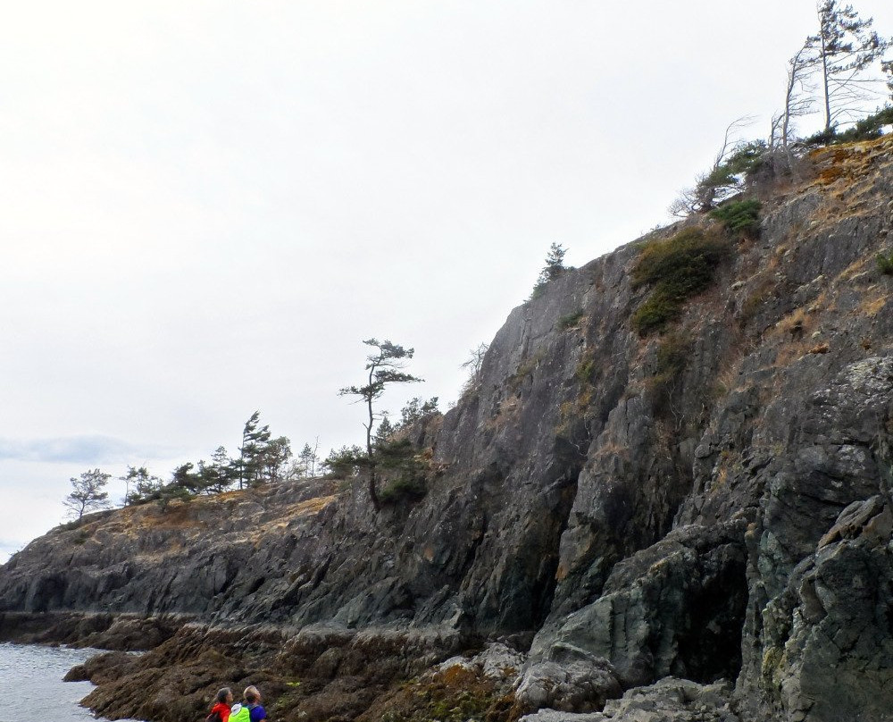 Anderson Bay Provincial Park景点图片