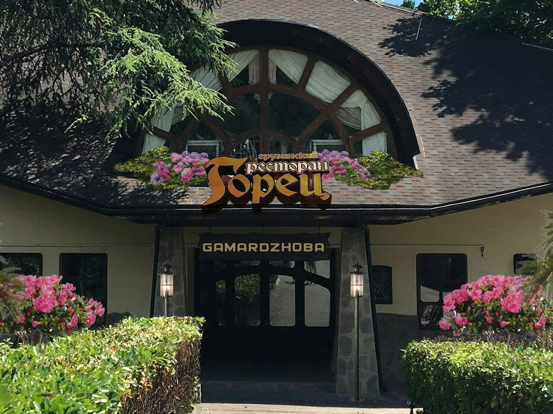 Mnohorichchya餐馆和美食-Restaurant Gorets