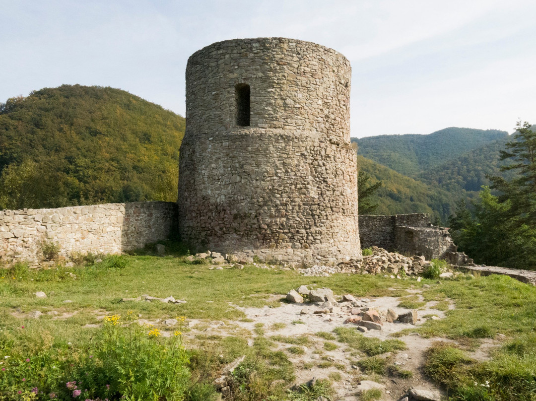 Zamek w Rytrze