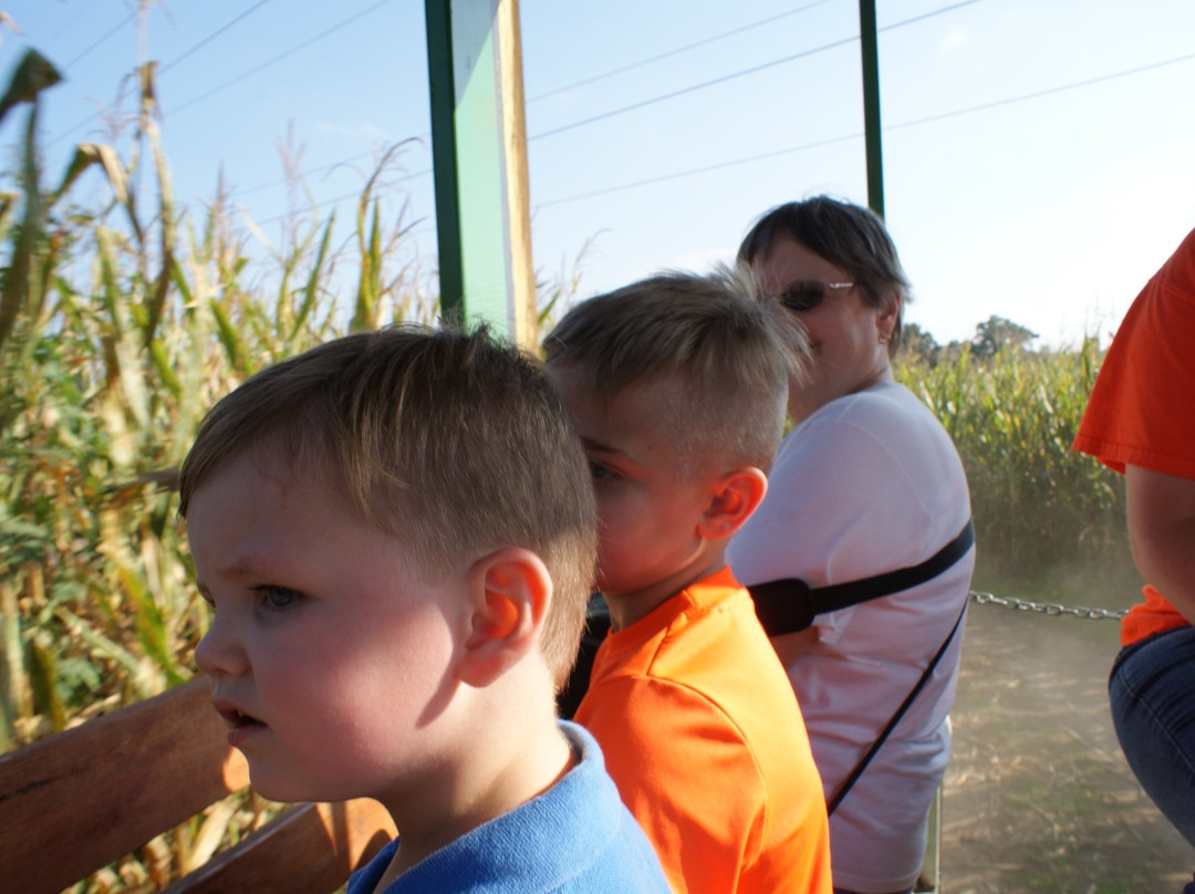 Thistleberry Farm-南本德必去景点