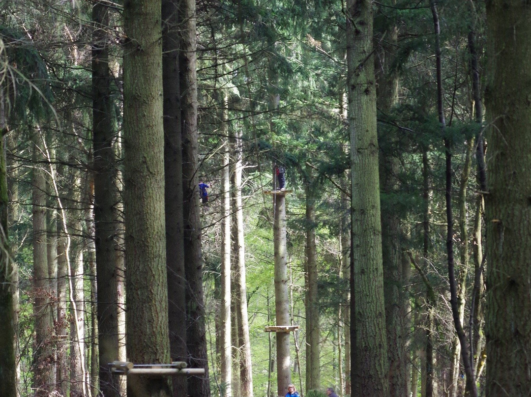 Acroforest景点图片