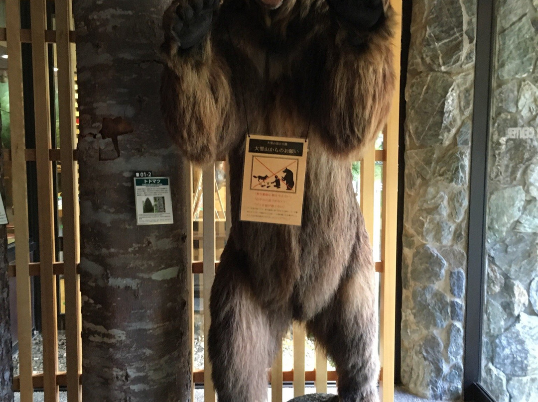 Sounkyo Visitor Center-上川町必去景点