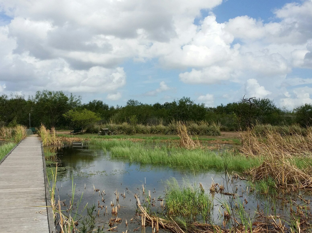 Estero Llano Grande State Park-Weslaco必去景点