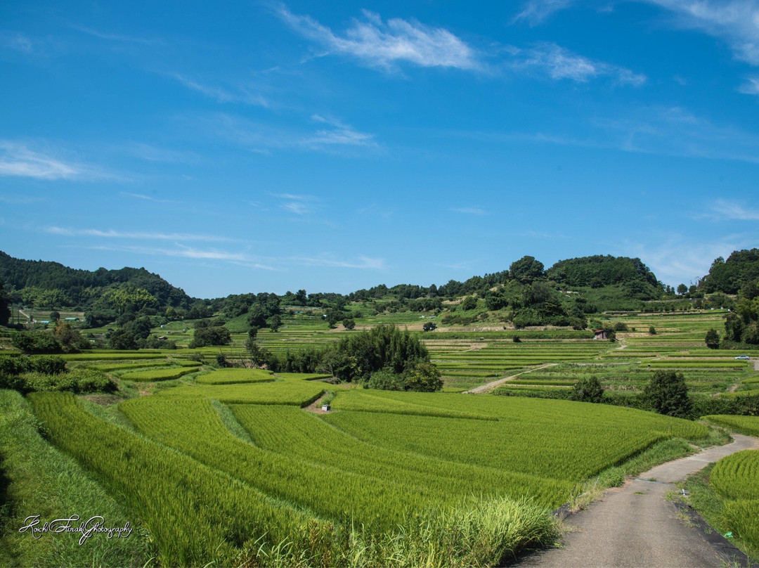 Inabuchinotanada景点图片