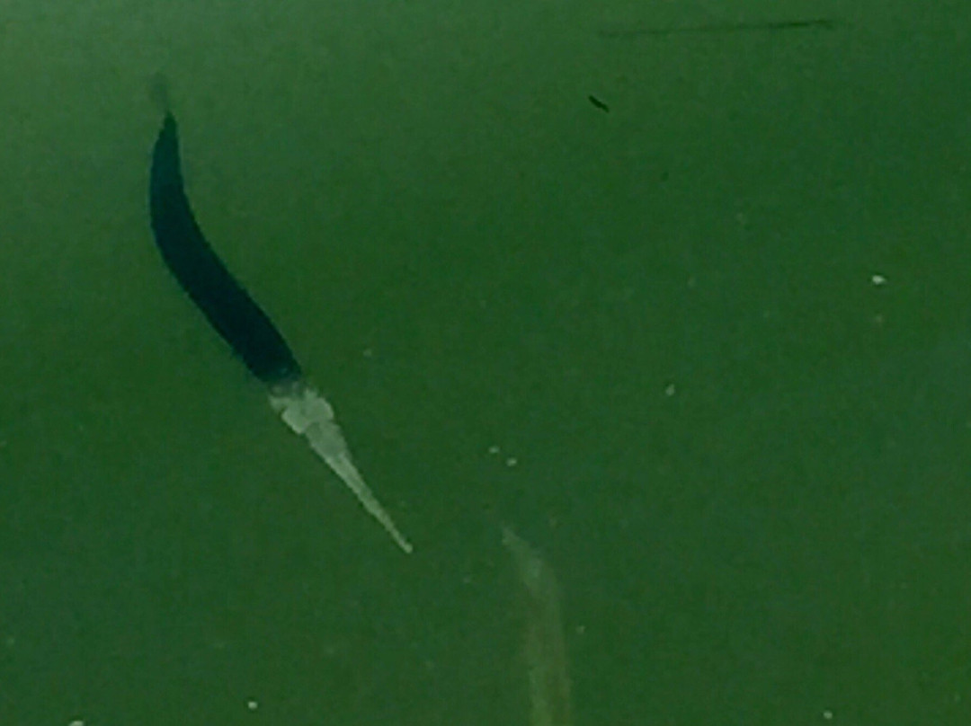 Tangier Onancock Ferry-Onancock必去景点