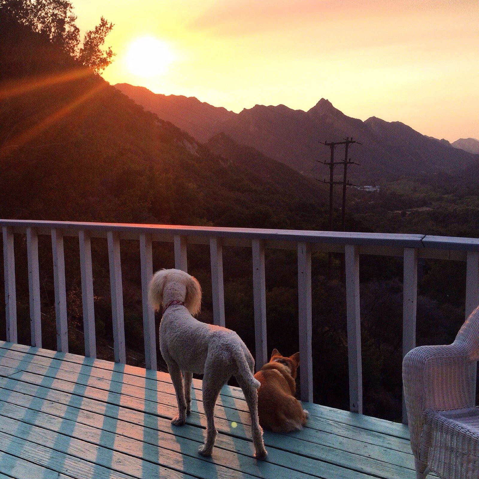 The Malibu Bella Vista-酒店景观