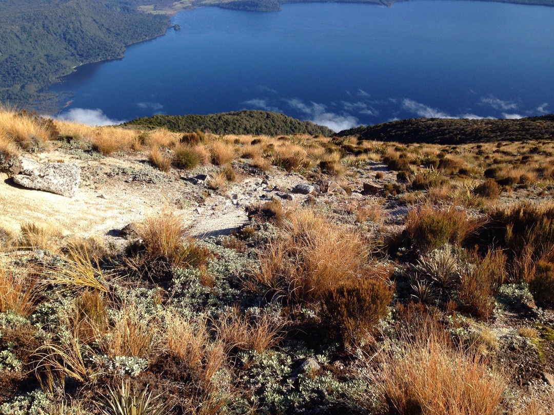 Te Kinga Summit Walk-Moana必去景点