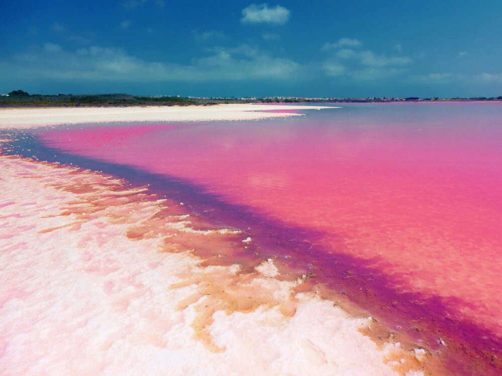 Las Salinas de Torrevieja景点图片