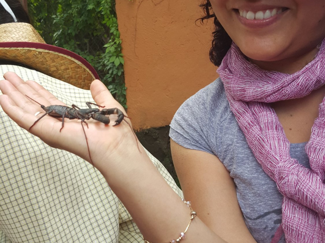 Museo Vivo-Malinalco必去景点